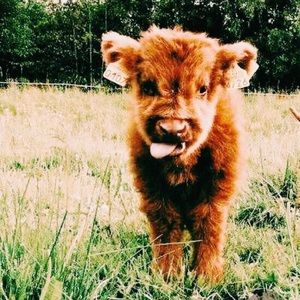 Meet your Posher, Katlyn